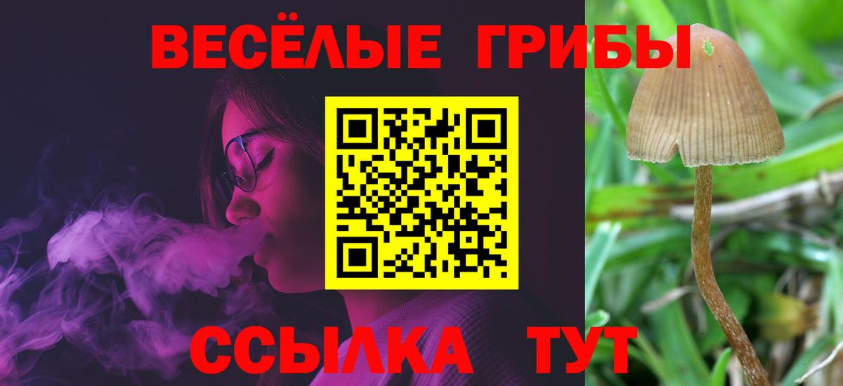 Холмск  Псилоцибиновые грибы ЛСД  Вход с VPN 