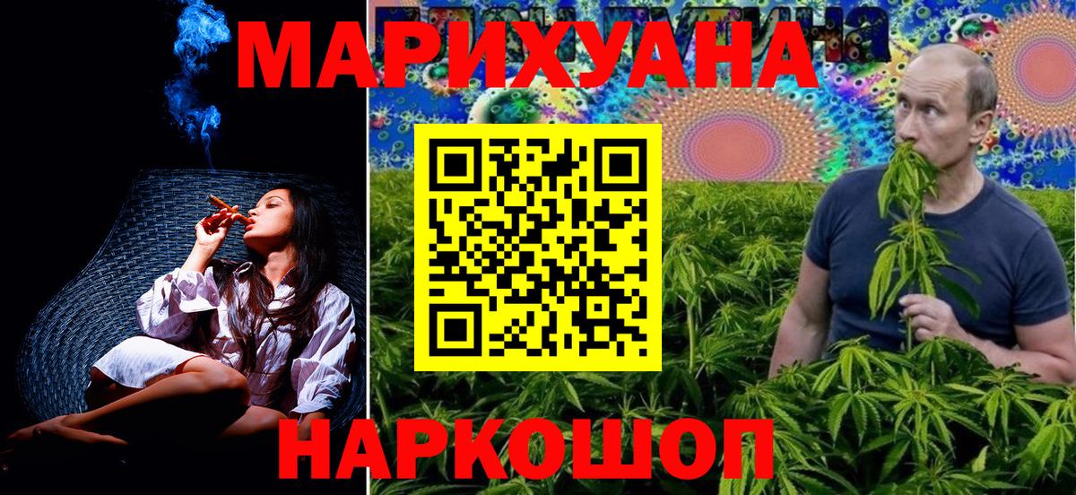 Каннабис сатива Холмск